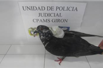 El Instituto Nacional Penitenciario y Carcelario de Colombia mantiene los controles necesarios para evitar el ingreso de sustancias.