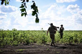 Las autoridades panameñas solicitaron facilitar, cuando corresponda jurídicamente, la desvinculación de ciudadanos panameños de las fuerzas armadas y su retorno seguro y ordenado.