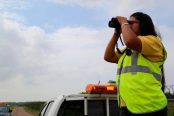 Tocumen emite alerta preventiva por migración de aves