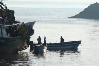 El especialista también se refirió a las olas que podían observarse en la bahía de Panamá, particularmente en el área del Corredor Sur, y señaló que no representaban, según la previsión descrita, un riesgo de penetración.