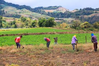 La agricultura regenerativa o alternativa posible