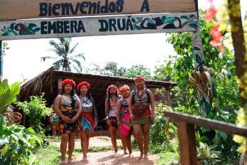 La comunidad emberá Druá ha logrado consolidarse como un ejemplo de convivencia entre tradición y desarrollo sostenible.