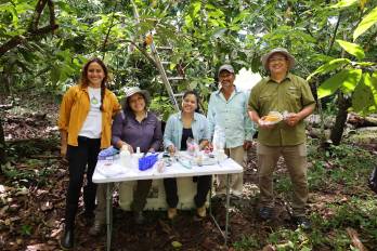 Yaleskia Valdés, Indira Quintero, Hilda Castillo, Orlando Lozada, Luis Mejía.
