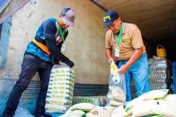 El grano importado será pilado y empacado por molinos locales para que el IMA lo ofrezca en su programa.