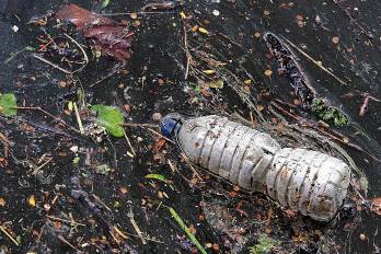La solución es usar plásticos biodegradables