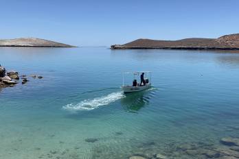 Fotografía de archivo donde se observa a ambientalistas en una playa cerca del puerto de Pichilingue, el 20 de julio de 2024, en La Paz, Baja California Sur (México).
