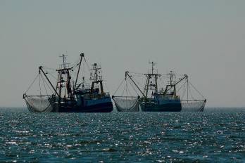 Según el estudio, la pesca es la industria oceánica con mayor actividad no pública.