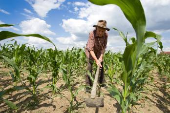 Reinterpretar la concepción rural para la juventud