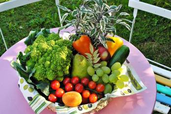 El alcance de los alimentos en la Ley General de Pensiones Alimenticias de Panamá