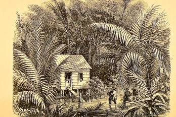 La condición escabrosa y selvática de los caminos de Cruces y Gorgona facilitaba la ocurrencia de emboscadas y asaltos continuos en esta zona.