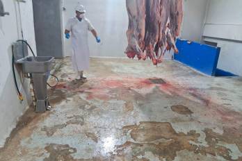 Inspecciones sanitarias en el sitio detectaron deficiencias estructurales y ambientales.