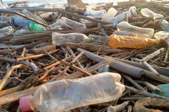 El uso de plásticos causa daños significativos al medio ambiente.