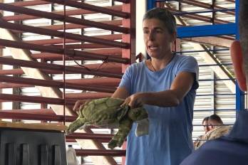 Pescadores reciben capacitación en manejo y liberación de las tortugas marinas