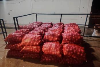 En Guabalá y Tierras Altas, solo está semana la Autoridad Nacional de Aduana ha decomisado en conjunto 170 quintales de cebollas.
