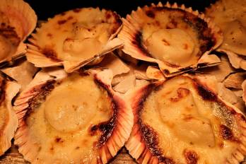 Conchitas a la parmesana.