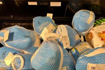 De septiembre hasta la primera semana de diciembre, Panamá ha recibido entre 300 y 500 toneladas métricas de pavo.
