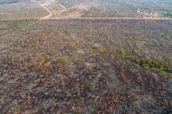 La deforestación en el norte argentino totalizó 126.149 hectáreas en 2023. Fotografía de archivo.