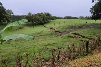 Ruptura superficial sobre la Falla Azuero-Soná, asociada al terremoto del 9 de octubre, la cual atraviesa campos de cultivo y la carpeta asfáltica de la carretera, lo que provocó el hundimiento abrupto del pavimiento y la interrupción total de la vía Búcaro – Ave. Dr. Belisario Porras.