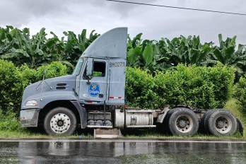 A mayo de 2025 las exportaciones de banano cayeron a un total de $52 millones, a niveles de 2021.