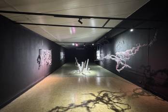 Presentada en el Museo de Arte Contemporáneo, la muestra reúne esculturas y entramados que parecen organismos en plena transformación.