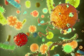 Ilustración conceptual que representa una selección de diferentes virus.