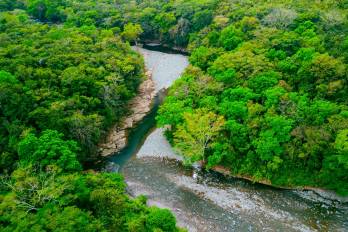 Bosques ribereños: parte integral de las cuencas hidrográficas