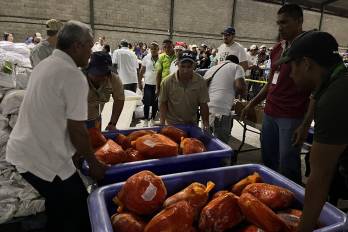 El IMA avanza en planificación de Naviferias con jamones hechos en Panamá.