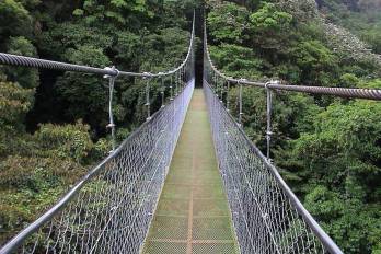 Gobierno invertirá más de $19 millones en 100 puentes zarzo en la comarca Ngäbe Buglé
