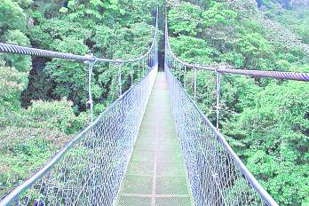 La construcción de nuevos puentes avanza mediante contratación directa, sin cotización ni competencia y con un precio de hasta medio millón por zarzo.