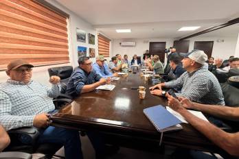 La Analmo propone importar, mientras el agro defiende la producción nacional y sostiene abastecimiento hasta octubre.