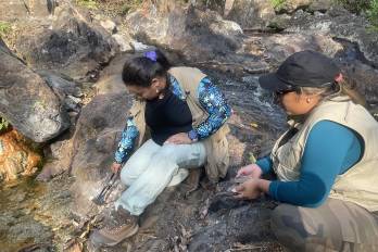 Trabajo de campo del equipo de investigación