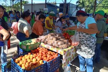En las agroferias las personas pueden conseguir frutas y legumbres a costos accesibles,