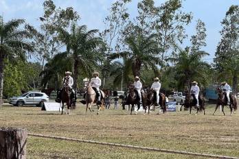 Panamá y Perú avanzan en convenio para importar semen de caballos peruanos de paso