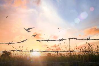 Crímenes contra la humanidad, genocidios y la historia real