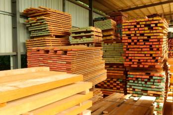 Con la nueva visión de la empresa ofrecen componentes de madera diseñados para integrarse a las líneas de producción de muebles, sin procesos adicionales.⁣