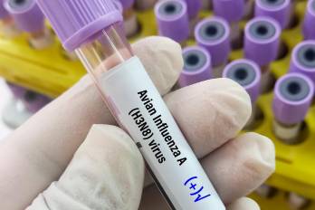 Un trabajo experimental da a conocer la alta transmisión de la enfermedad entre mamíferos.