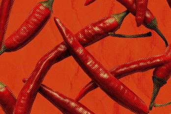 La exposición ‘Picante’ se mostrará en la Casa del Soldado hasta el próximo 10 de enero.