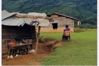 Diagnósticos y despedidas