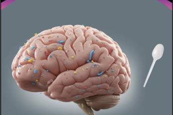 Esta imagen muestra un cerebro humano con coloridas partículas de microplásticos en su superficie.