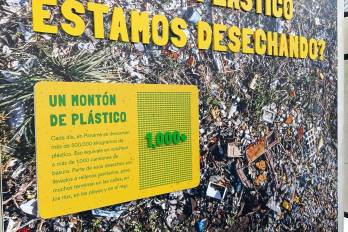 Este proyecto es impulsado por la Asociación Marea Verde de Panamá.