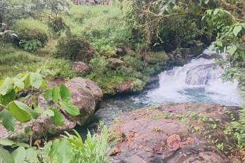 Desde septiembre de 2024 los maestros solicitaron puentes zarzo al gobierno de turno para cruzar ríos como este, en la comarca Ngäbe-Buglé.