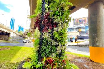Esta primera transformación de espacios públicos está ubicada en la rotonda ubicada en el puente vehicular de Paitilla.