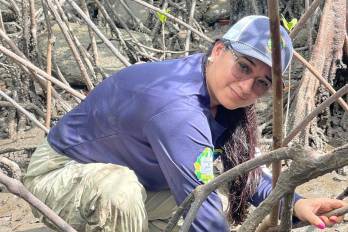 Recolección de moluscos en el Golfo de Montijo.