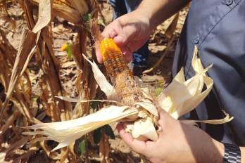 Personal técnico del ISA comenzó las inspecciones técnicas para evaluar los daños y activar los trámites de indemnización correspondientes