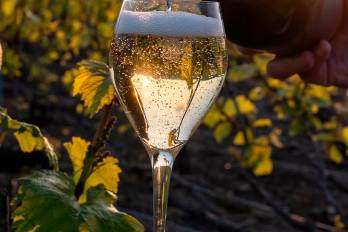 Use sus copas de vino blanco para brindar por el nuevo año