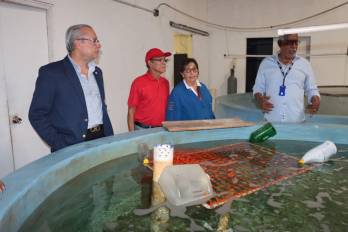 ARAP impulsa investigación acuícola