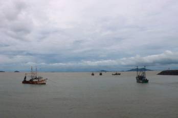 Los pescadores podrán reanudar la captura de camarón hasta el 31 de enero de 2026, cuando iniciará el próximo período de veda, programado del 1 de febrero al 11 de abril.