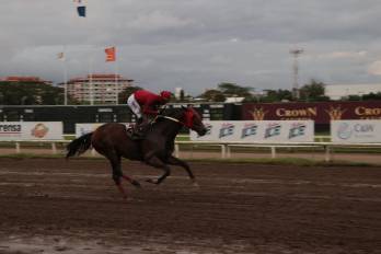 El ejemplar ‘Eagle In Love’, que busca repetir triunfo en la carrera, será el ejemplar a batir.