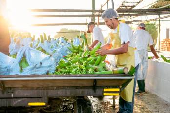 El valor de las exportaciones panameñas, sin cobre, crece más de 9% hasta febrero