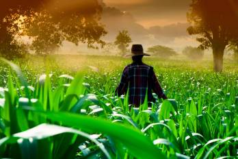 El PIASI destinaría $10 millones para innovaciones de mercado para reducir pérdidas post-cosecha y agregar valor a los productos de forma no reembolsable.